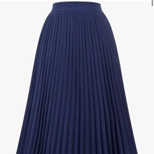 Navy Blue Pleated Skirt - NWT